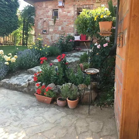 Joó-wellness Pensión 4*